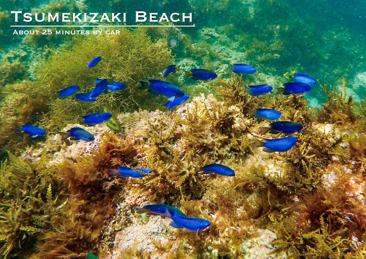 河津町 菖蒲沢ログヴィラ エクステリア 写真