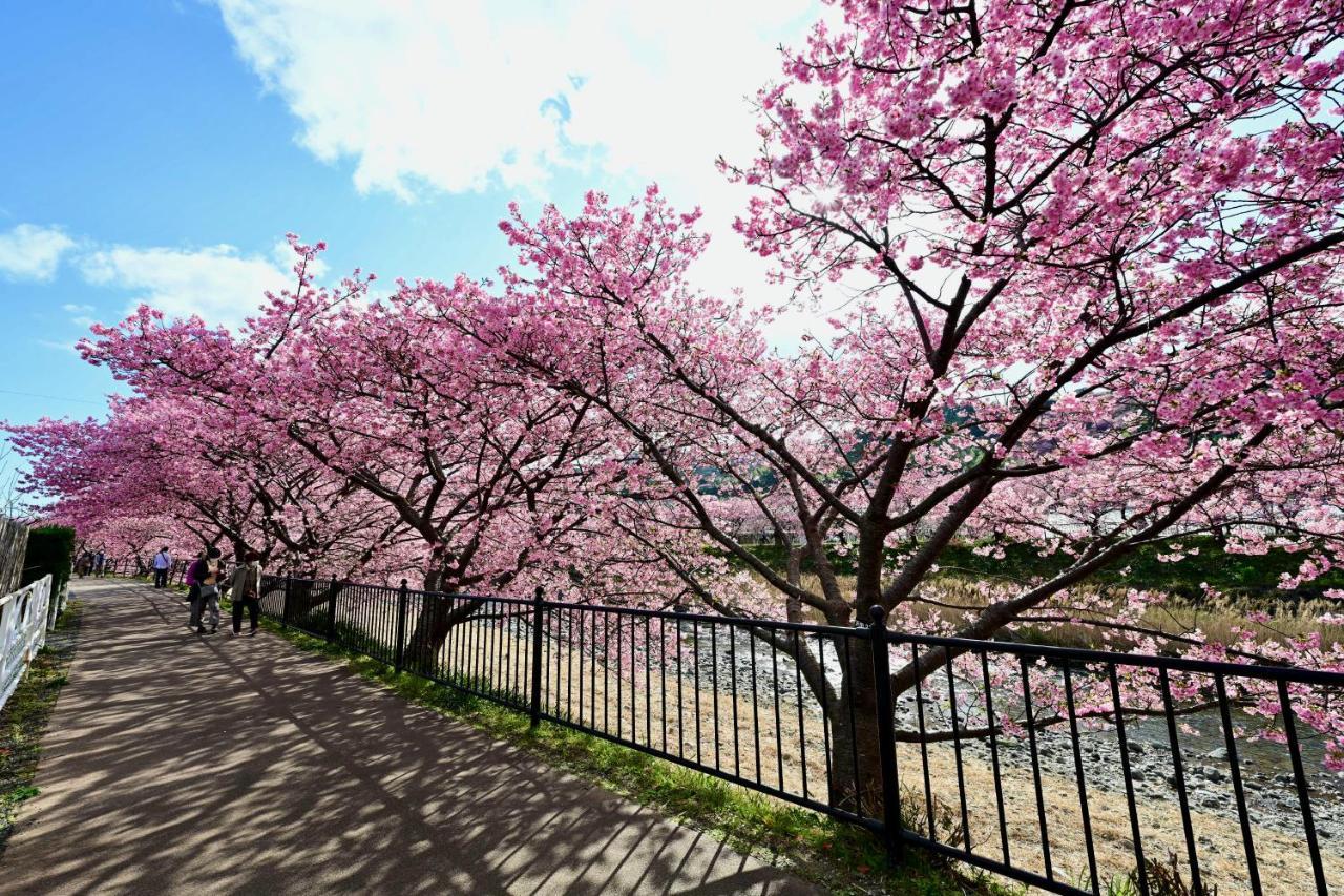 河津町 菖蒲沢ログヴィラ エクステリア 写真