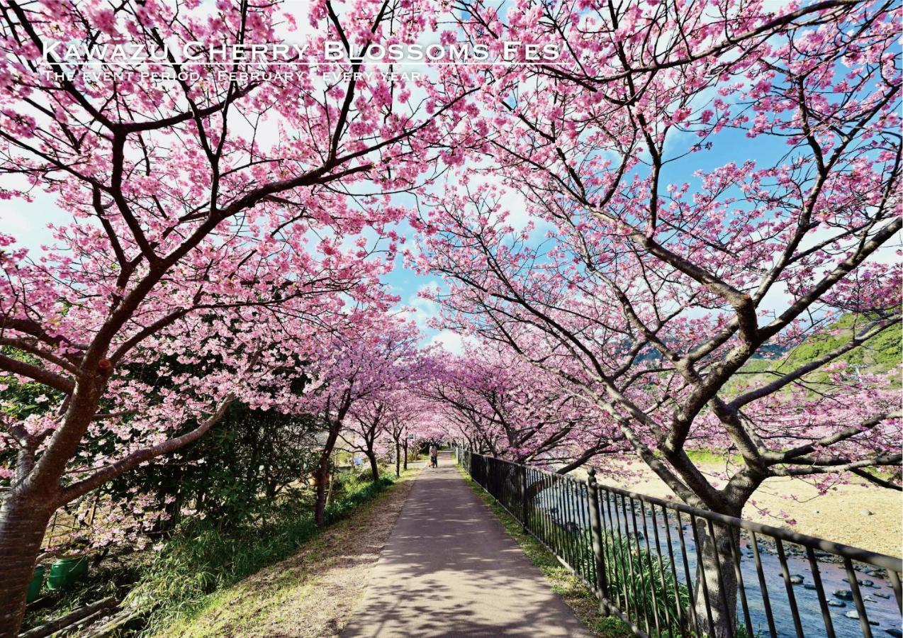 河津町 菖蒲沢ログヴィラ エクステリア 写真