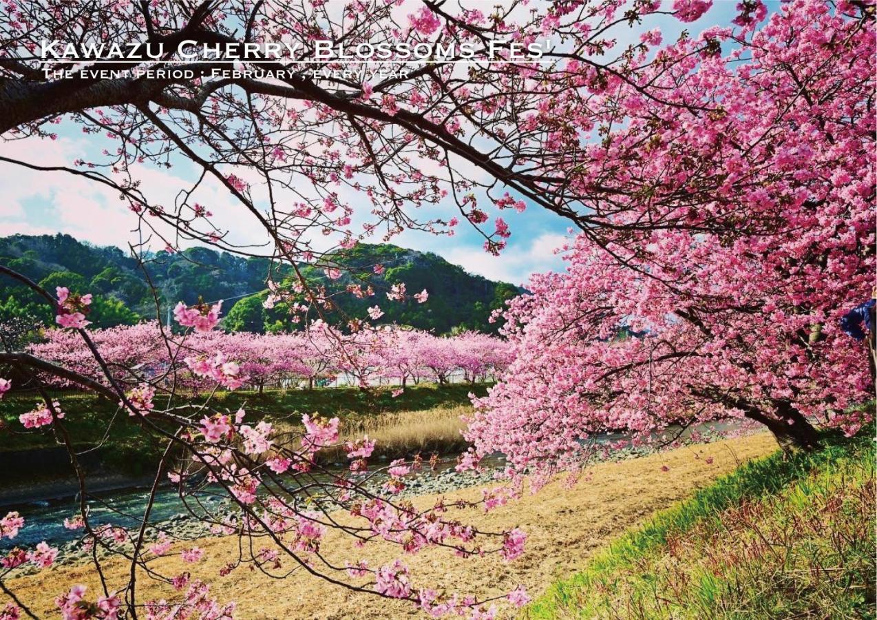 河津町 菖蒲沢ログヴィラ エクステリア 写真